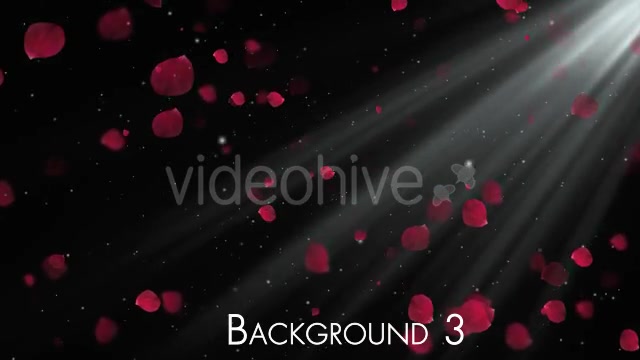Rose Petals Videohive 20291260 Motion Graphics Image 7