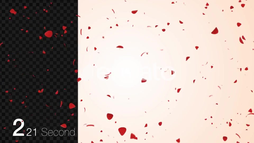 Rose Petals Videohive 22908780 Motion Graphics Image 8