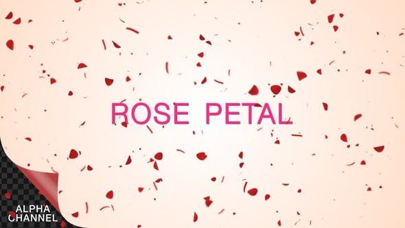 Rose Petals - 22908780 Download Videohive