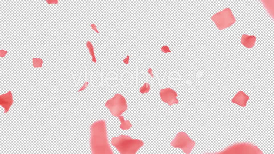 Rose Petals Heart Videohive 13769614 Motion Graphics Image 1