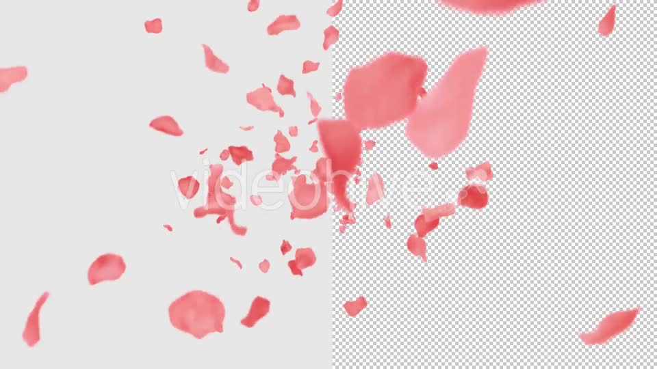 Rose Petals Heart Videohive 13769614 Motion Graphics Image 2
