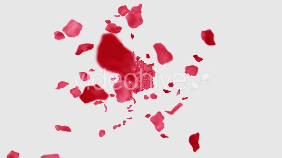 Rose Petals Heart Videohive 13769614 Motion Graphics Image 6