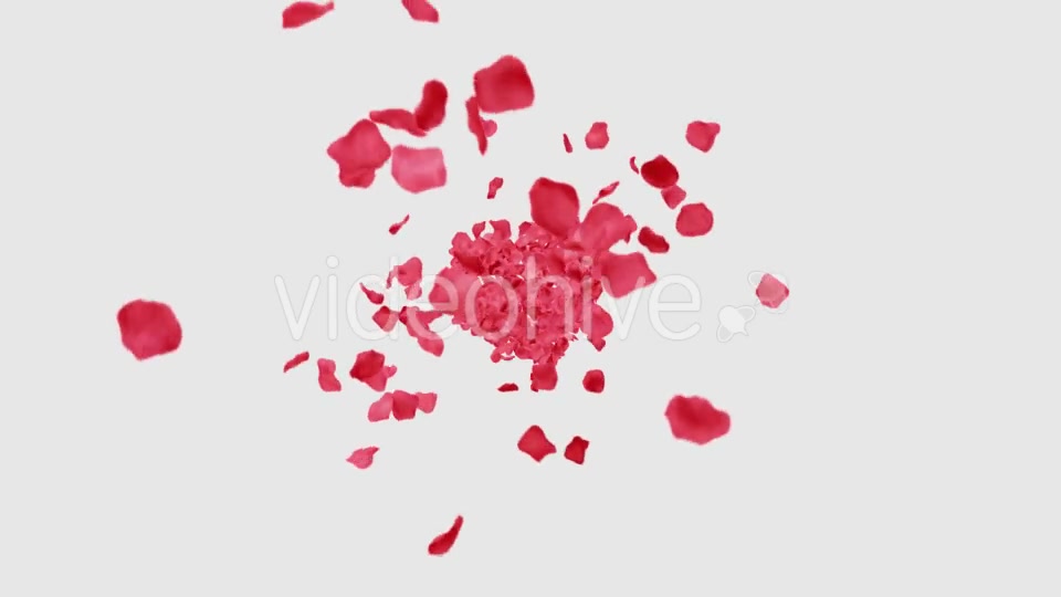 Rose Petals Heart Videohive 13769614 Motion Graphics Image 7