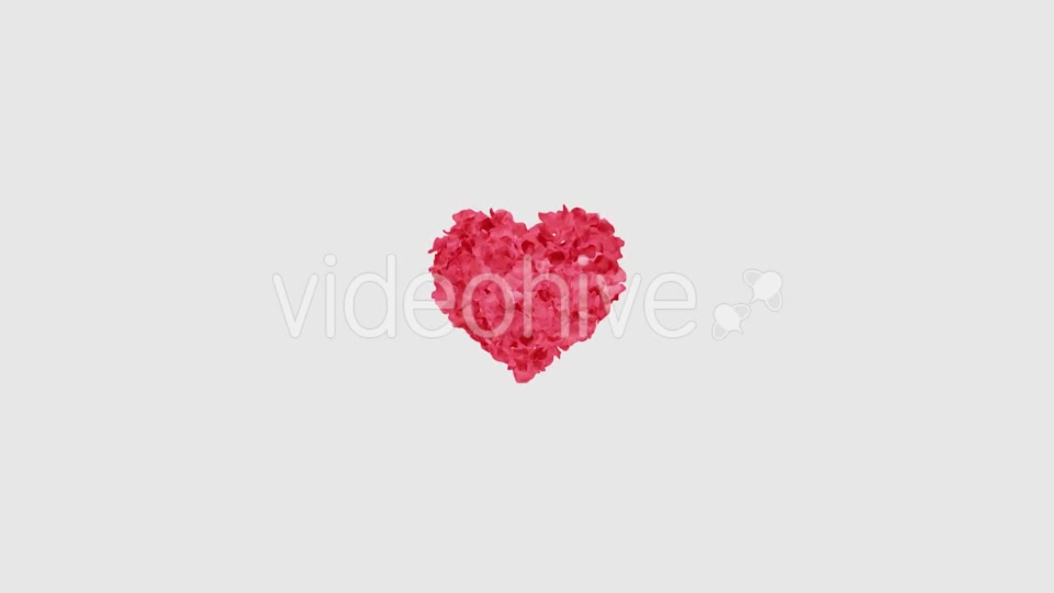 Rose Petals Heart Videohive 13769614 Motion Graphics Image 8