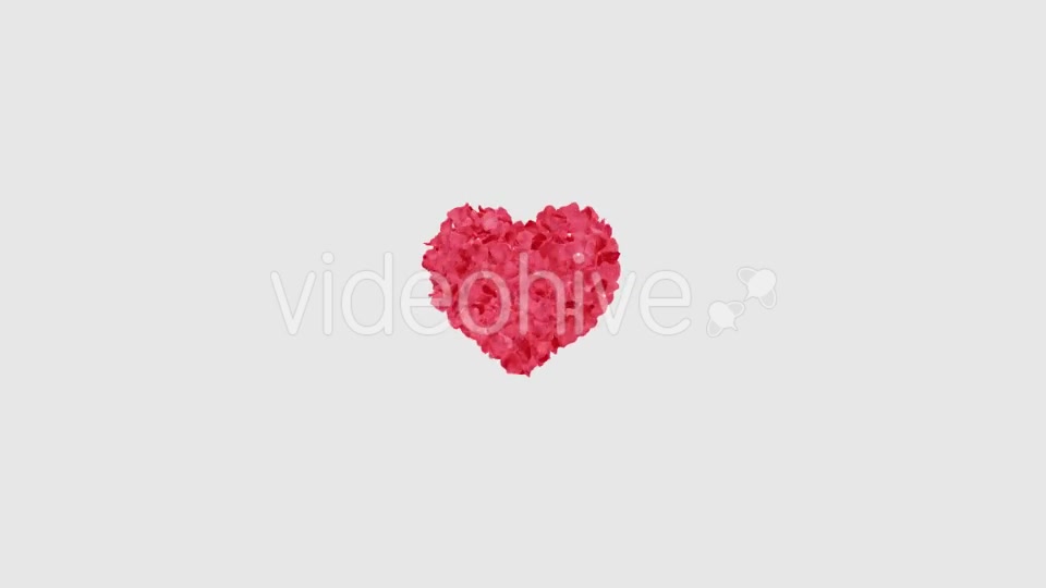 Rose Petals Heart Videohive 13769614 Motion Graphics Image 9