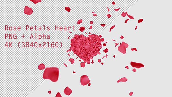 Rose Petals Heart - 13769614 Videohive Download