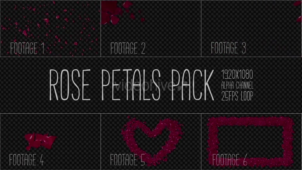 Rose Petals Pack Videohive 19386698 Motion Graphics Image 10