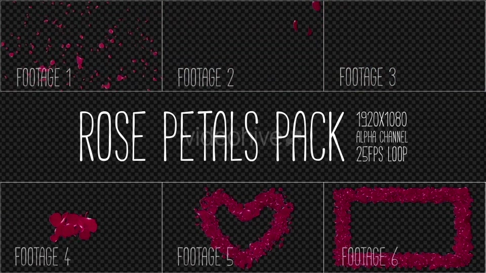 Rose Petals Pack Videohive 19386698 Motion Graphics Image 7