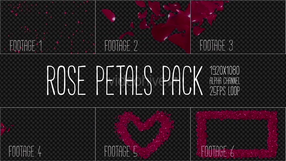 Rose Petals Pack Videohive 19386698 Motion Graphics Image 8