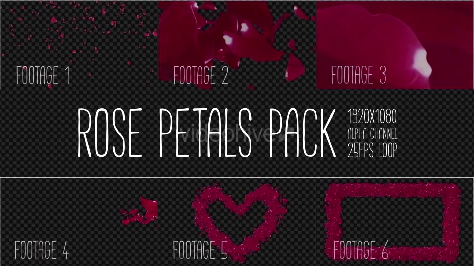 Rose Petals Pack Videohive 19386698 Motion Graphics Image 9