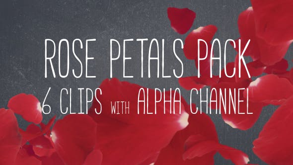 Rose Petals Pack - Download Videohive 19386698