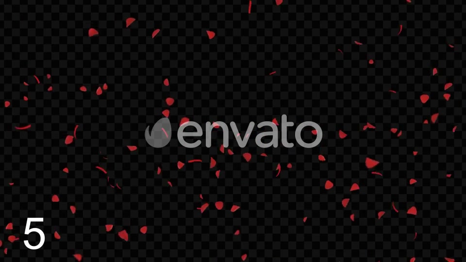 Rose Petals Videohive 22686145 Motion Graphics Image 10