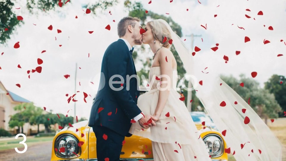 Rose Petals Videohive 22686145 Motion Graphics Image 5