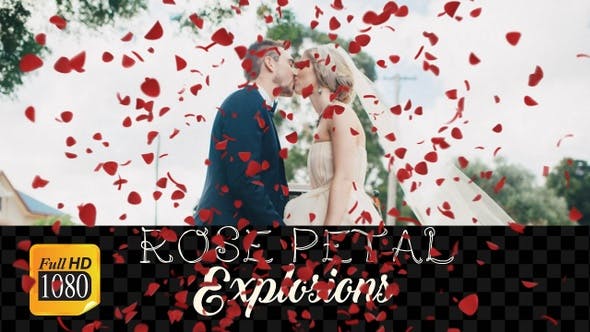 Rose Petals - Videohive Download 22686145