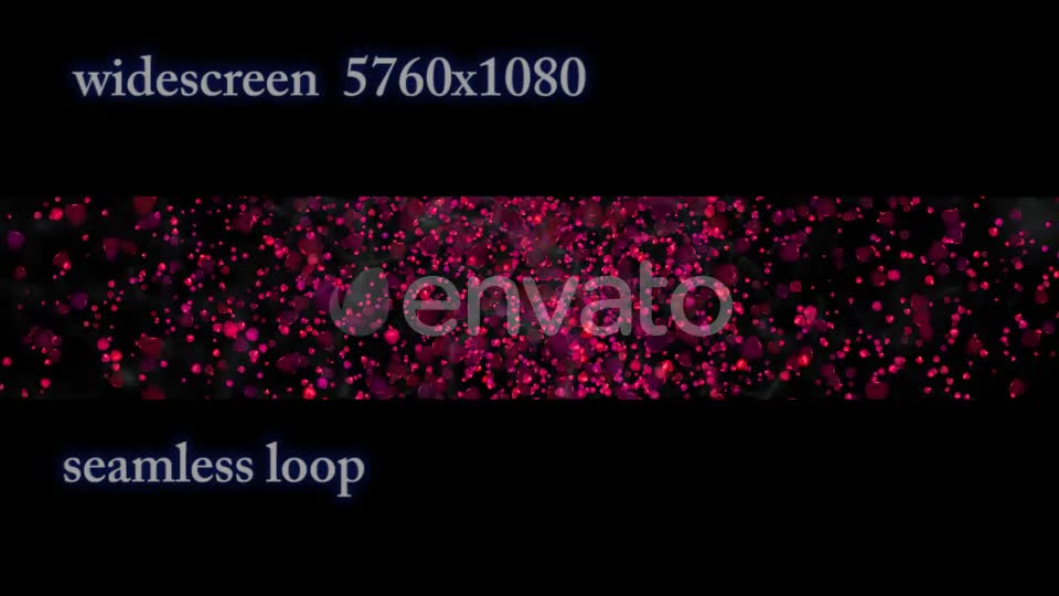Rose Petals Widescreen Videohive 22658364 Motion Graphics Image 1