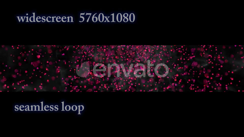 Rose Petals Widescreen Videohive 22658364 Motion Graphics Image 2