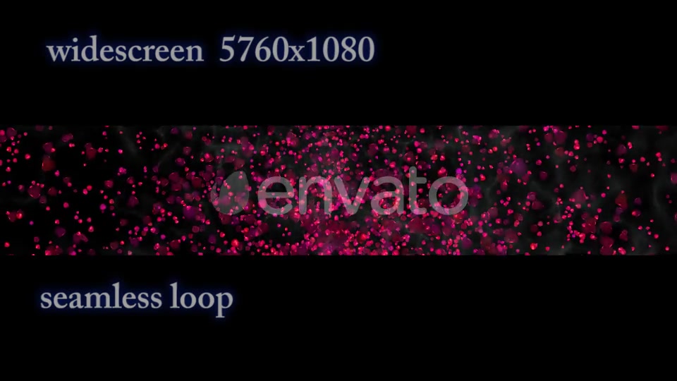 Rose Petals Widescreen Videohive 22658364 Motion Graphics Image 3