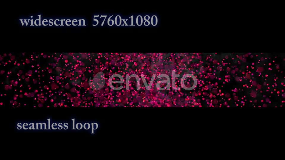 Rose Petals Widescreen Videohive 22658364 Motion Graphics Image 4