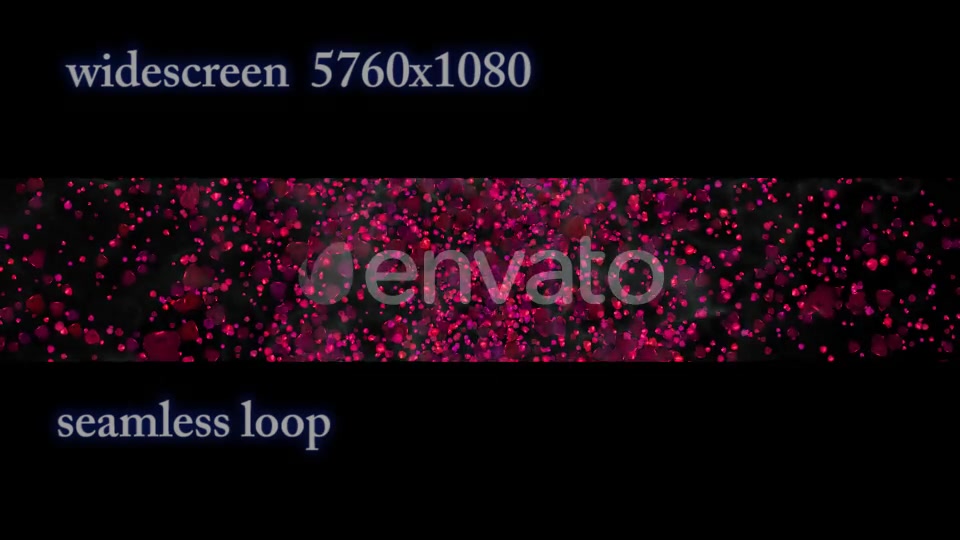 Rose Petals Widescreen Videohive 22658364 Motion Graphics Image 5
