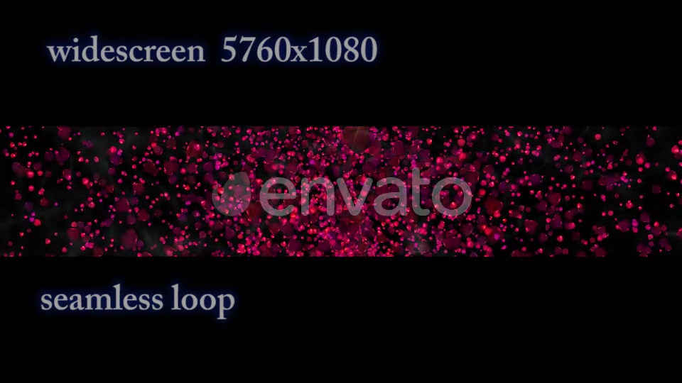 Rose Petals Widescreen Videohive 22658364 Motion Graphics Image 6