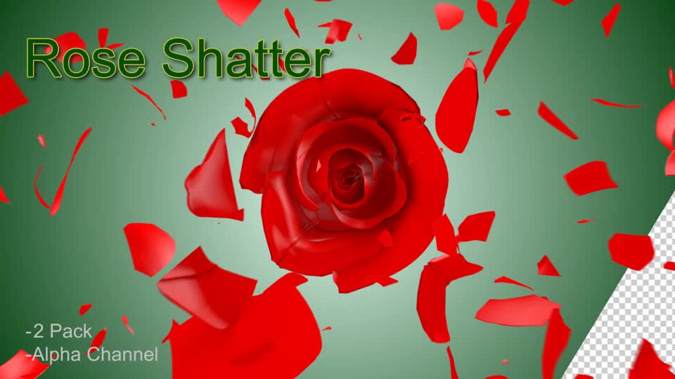 Rose Shatter Videohive 21319639 Motion Graphics Image 1