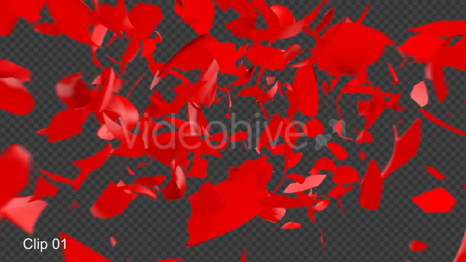 Rose Shatter Videohive 21319639 Motion Graphics Image 4