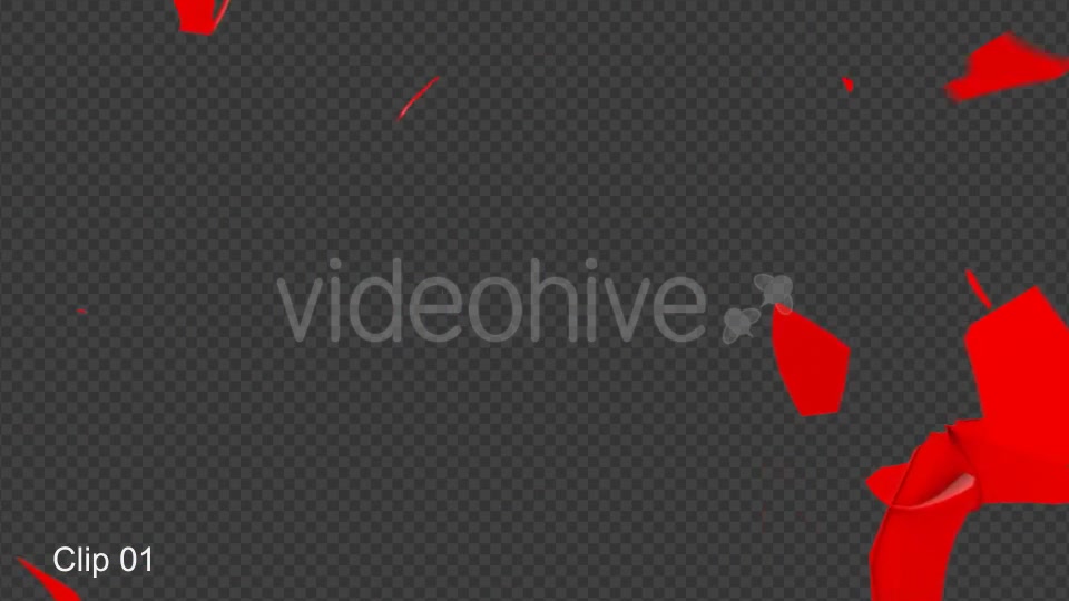 Rose Shatter Videohive 21319639 Motion Graphics Image 5