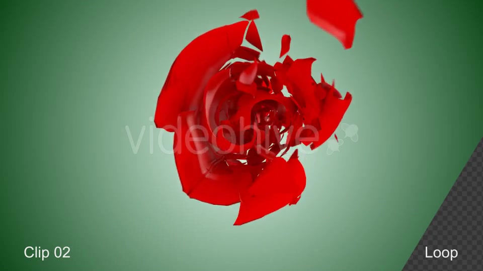 Rose Shatter Videohive 21319639 Motion Graphics Image 6