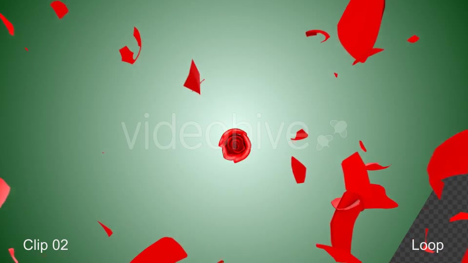 Rose Shatter Videohive 21319639 Motion Graphics Image 7