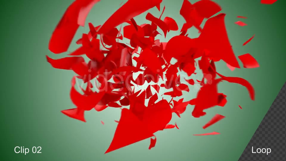 Rose Shatter Videohive 21319639 Motion Graphics Image 8