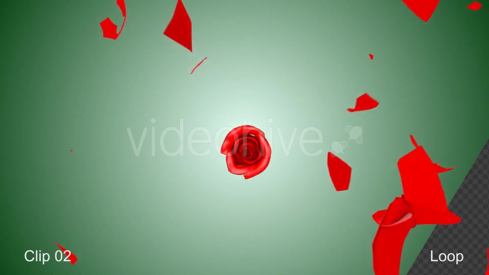 Rose Shatter Videohive 21319639 Motion Graphics Image 9