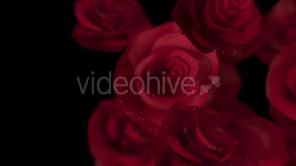 Roses Transition Videohive 16654229 Motion Graphics Image 2