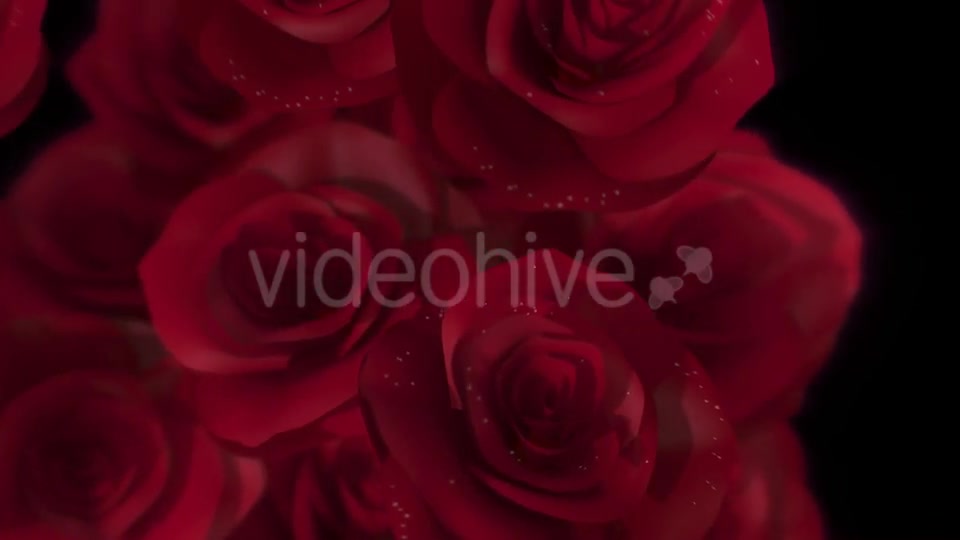 Roses Transition Videohive 16654229 Motion Graphics Image 3