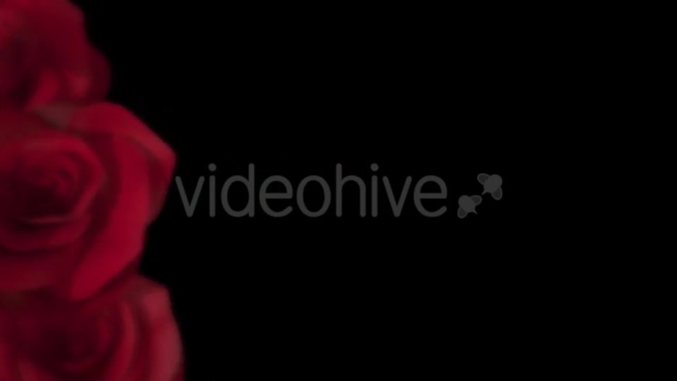 Roses Transition Videohive 16654229 Motion Graphics Image 4