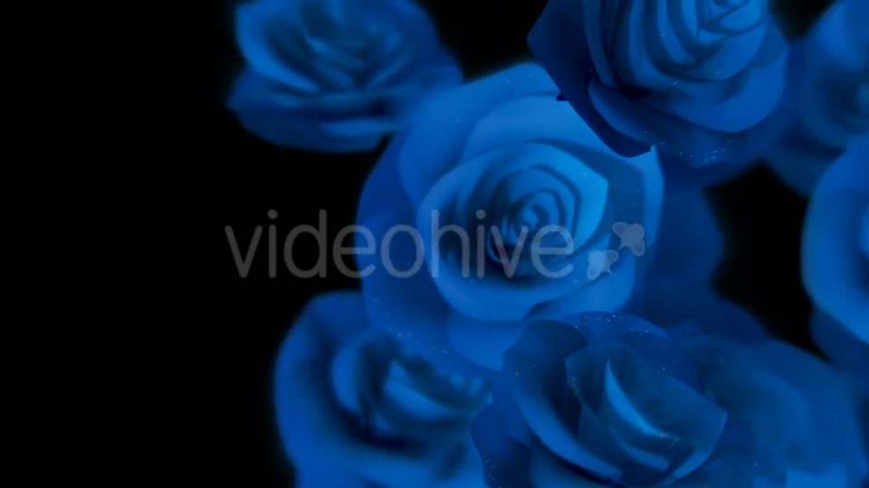 Roses Transition Videohive 16654229 Motion Graphics Image 6