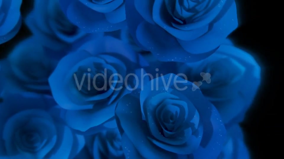 Roses Transition Videohive 16654229 Motion Graphics Image 7