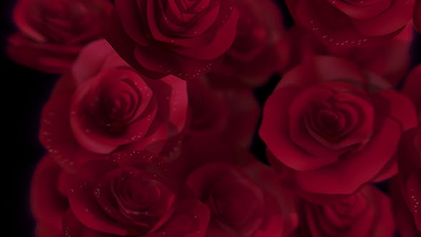 Roses Transition - Videohive Download 16654229