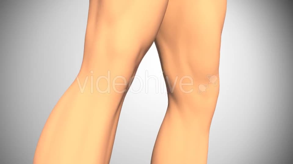 Rupture Of The Quadriceps Tendon Videohive 16093760 Motion Graphics Image 1