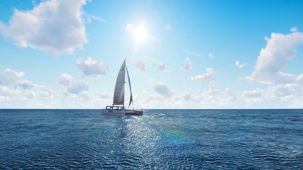 Sailing Catamaran - 20709428 Videohive Download