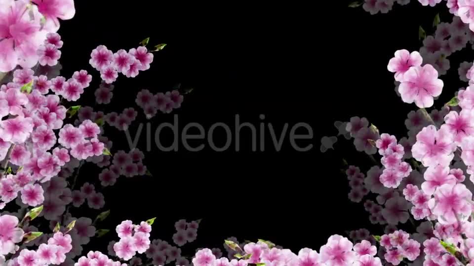 Sakura Alpha 02 Videohive 20631406 Motion Graphics Image 1