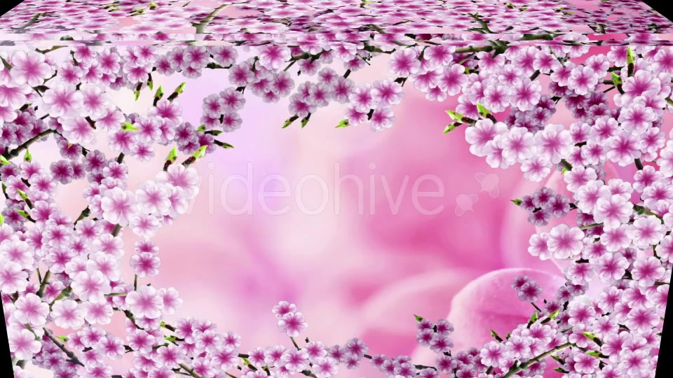 Sakura Background Videohive 20612215 Motion Graphics Image 5