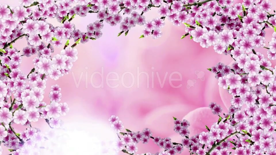 Sakura Background Videohive 20612215 Motion Graphics Image 6