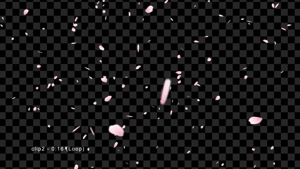 Sakura | Cherry Blossom Videohive 19587351 Motion Graphics Image 7