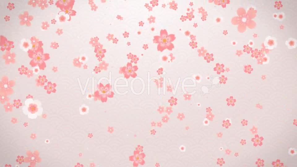 Sakura Videohive 16082326 Motion Graphics Image 1