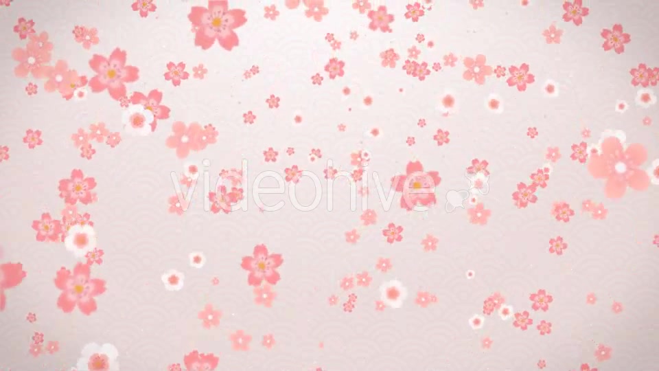 Sakura Videohive 16082326 Motion Graphics Image 2