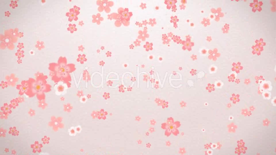Sakura Videohive 16082326 Motion Graphics Image 3