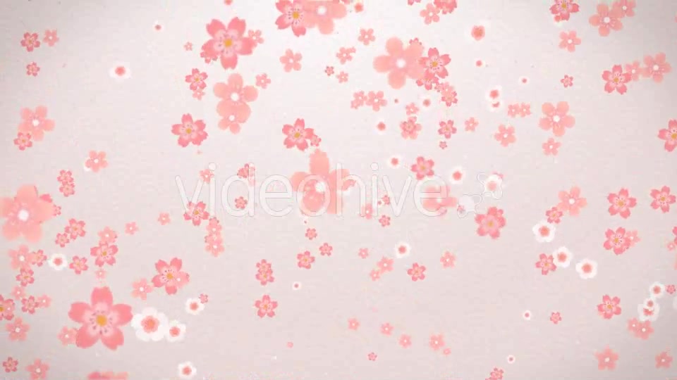 Sakura Videohive 16082326 Motion Graphics Image 4