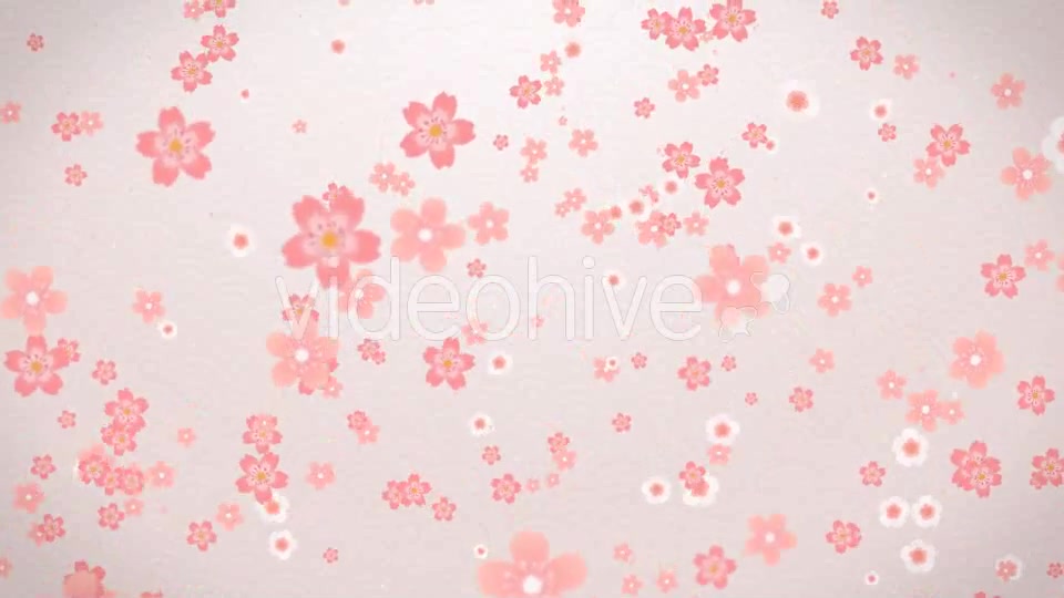 Sakura Videohive 16082326 Motion Graphics Image 5