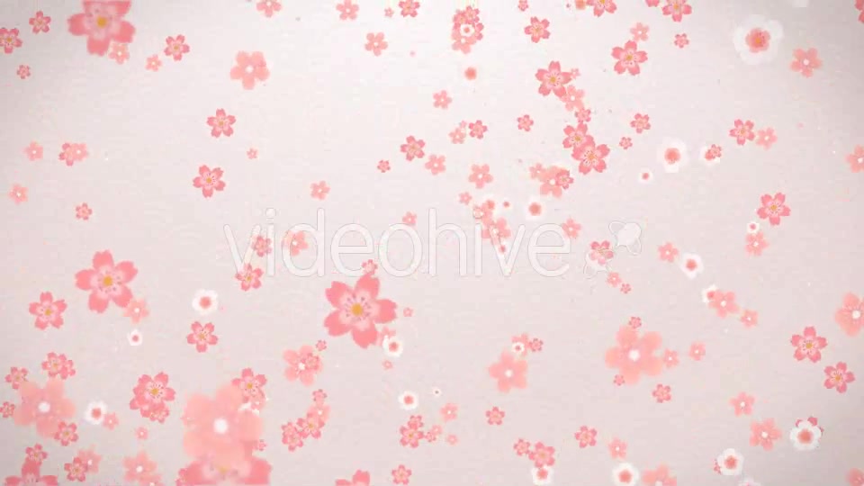 Sakura Videohive 16082326 Motion Graphics Image 6