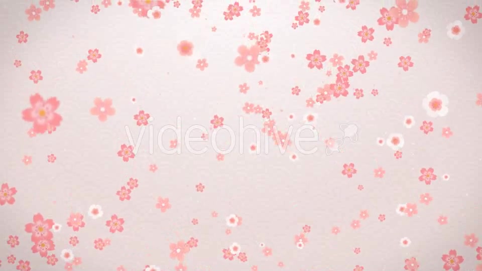 Sakura Videohive 16082326 Motion Graphics Image 7